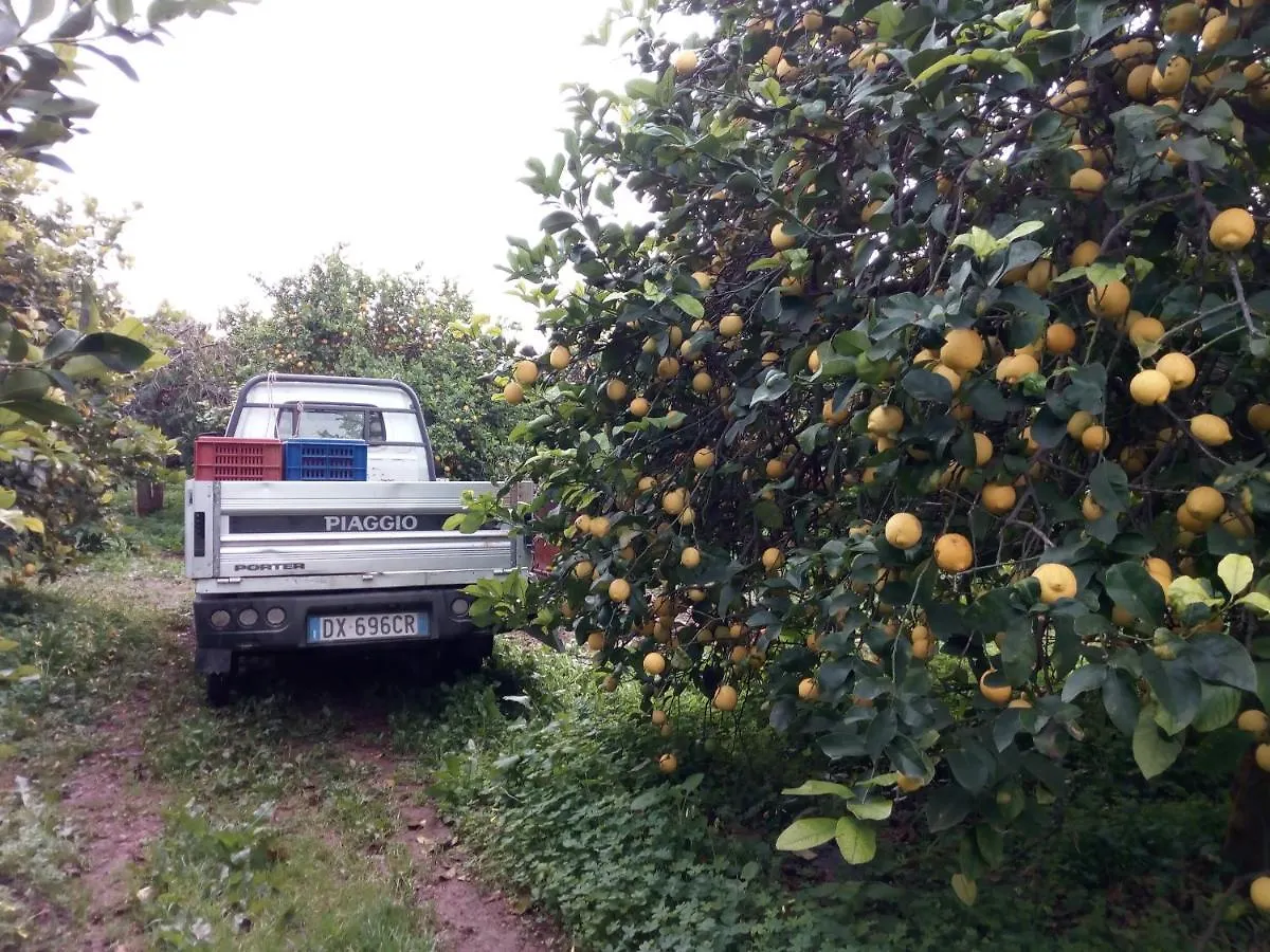 Cristalland - Oasi Campisi Avola