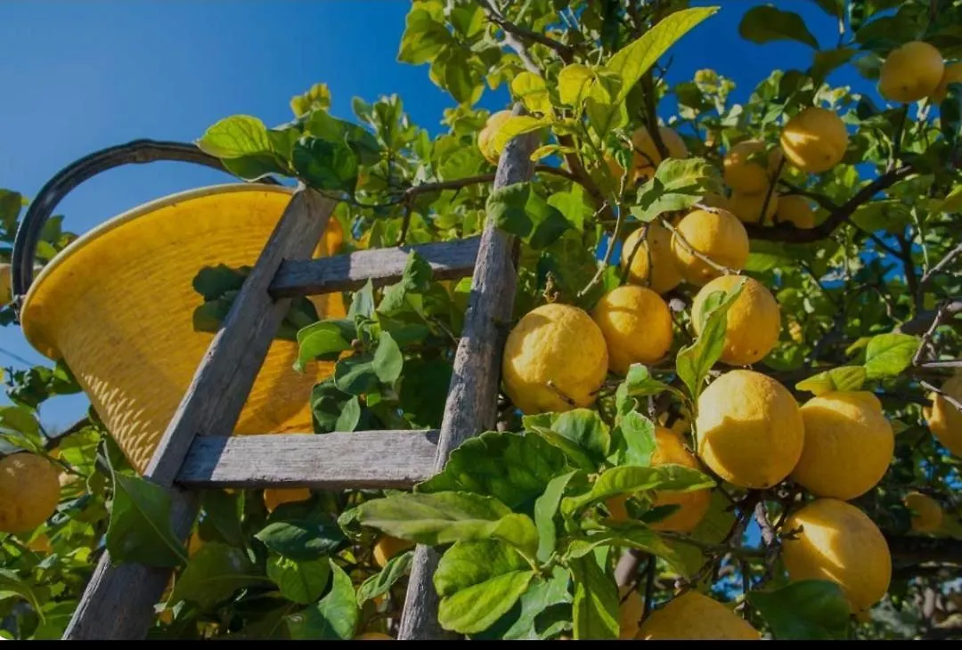 Appartamento Cristalland - Oasi Campisi Avola