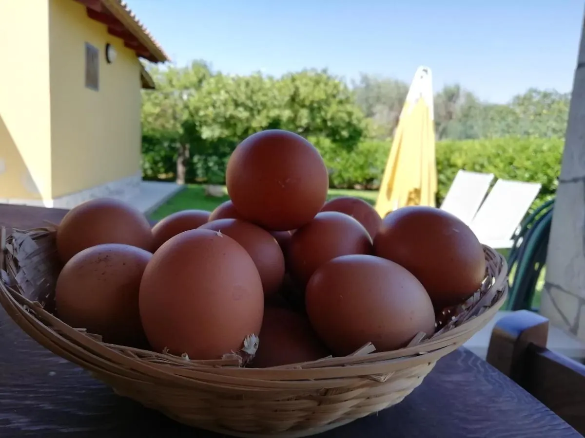 Apartamento Sicilian Garden Avola