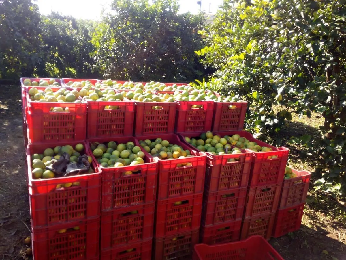 Apartamento Sicilian Garden Avola Italia