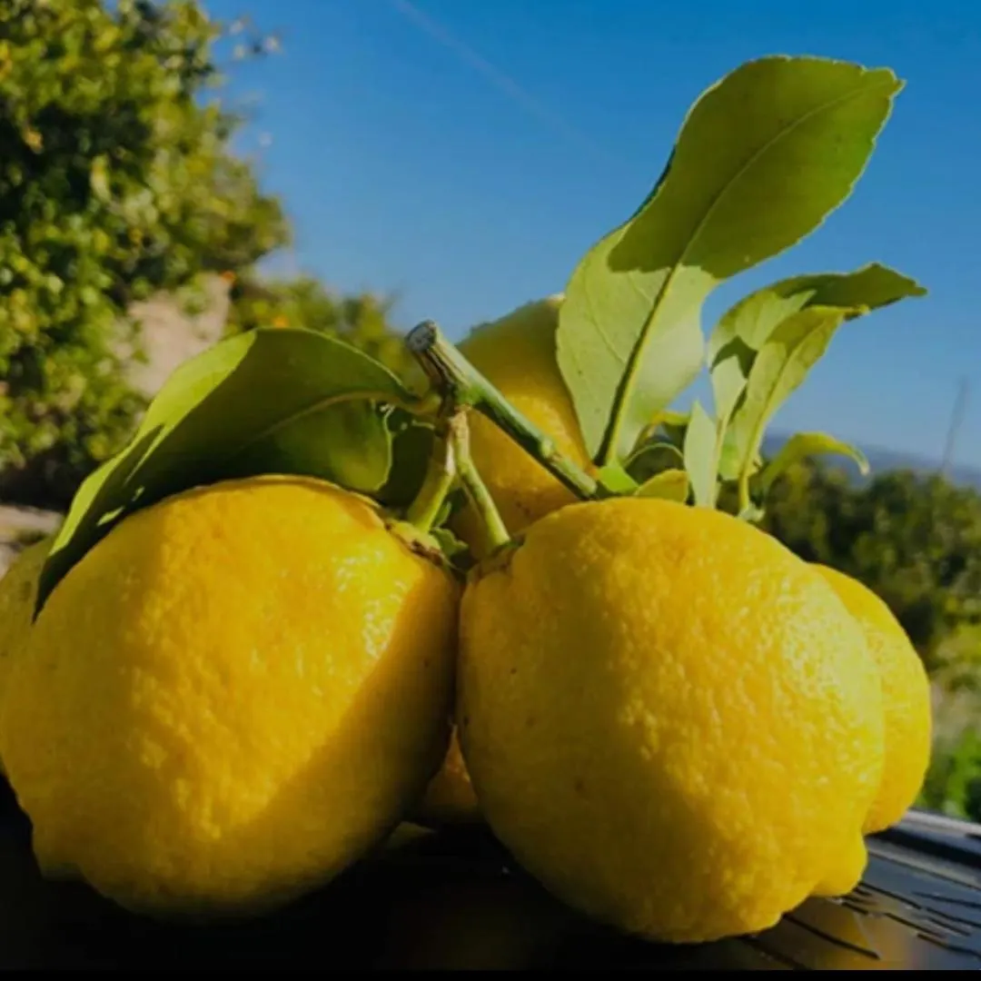 Apartamento Sicilian Garden Avola Italia