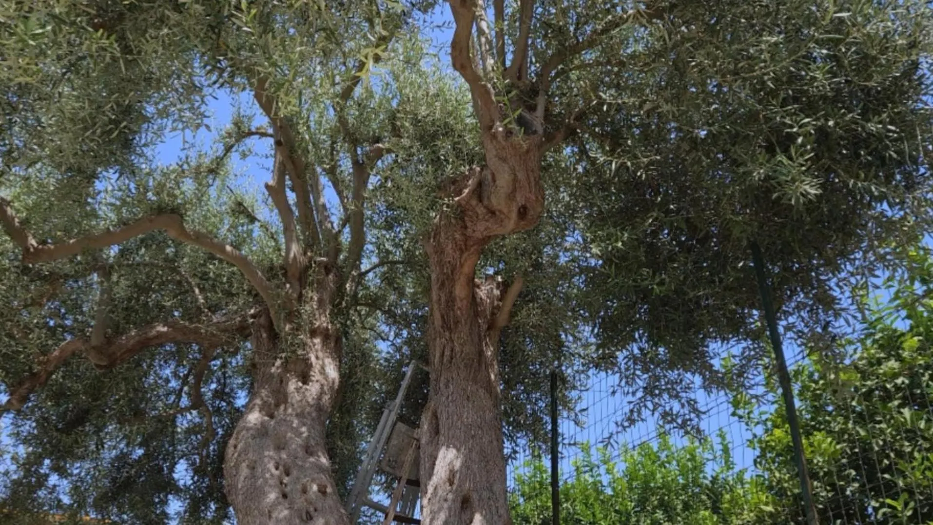 Apartamento Sicilian Garden Avola