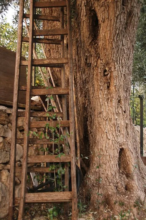 Apartamento Sicilian Garden Avola 0*,